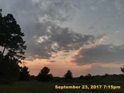 IMG_6979
