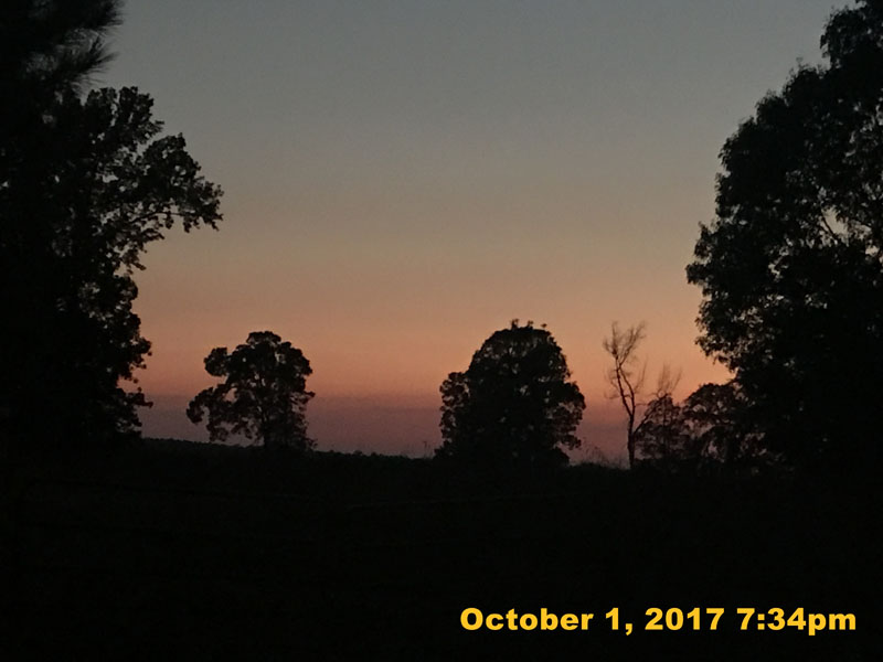 IMG_7431