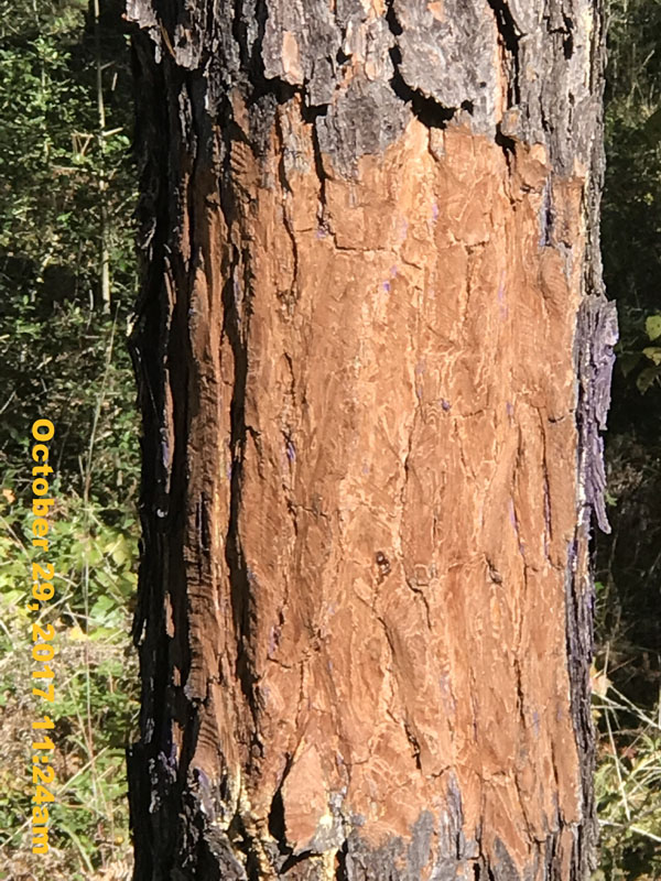 IMG_8674
