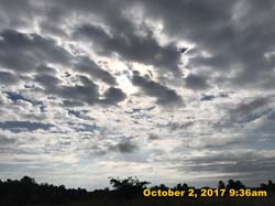 IMG_7445