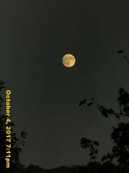 IMG_7550