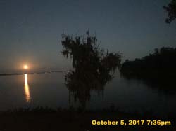 IMG_7584