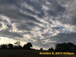IMG_7775