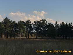 IMG_7978