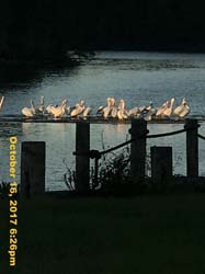 IMG_8091