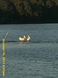 IMG_8093