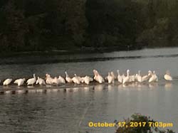 IMG_8117