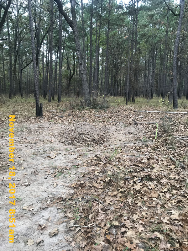 IMG_9554