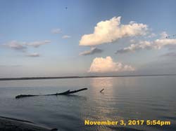 IMG_8856