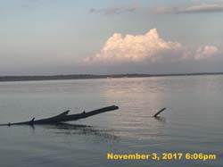 IMG_8862