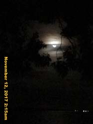IMG_9155