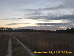 IMG_9353