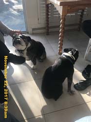 IMG_9797