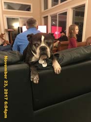 IMG_9916