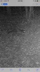 IMG_9979