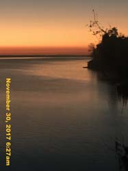 IMG_0202