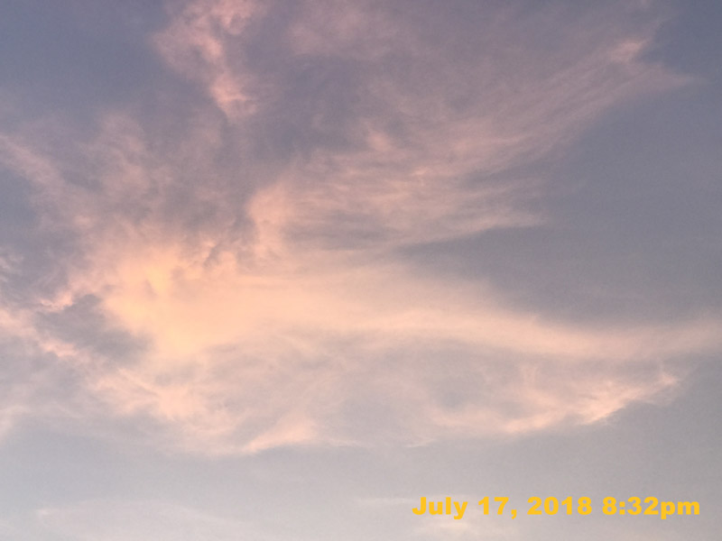 IMG_8968