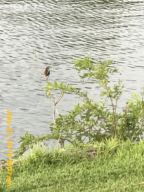 IMG_9148