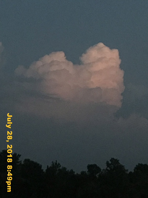 IMG_9367