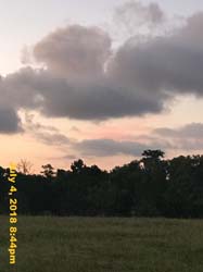 IMG_8420