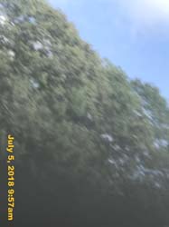 IMG_8437