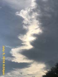 IMG_8450