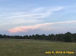 IMG_8528