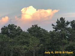 IMG_8529