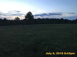 IMG_8531