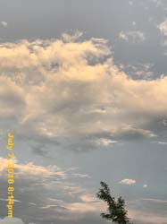 IMG_8581