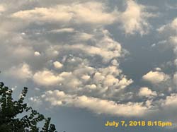 IMG_8584