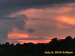 IMG_8655