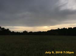 IMG_8687
