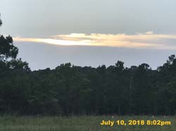 IMG_8728