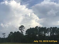IMG_8784