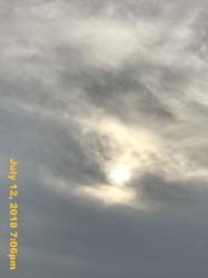 IMG_8785