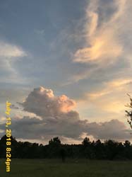 IMG_8829