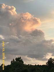 IMG_8830