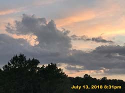 IMG_8834