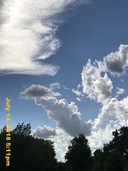 IMG_8865