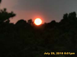 IMG_9420