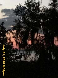 IMG_9517