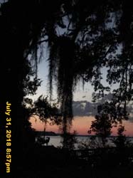 IMG_9519