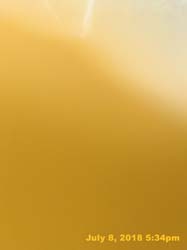 IMG_E8615