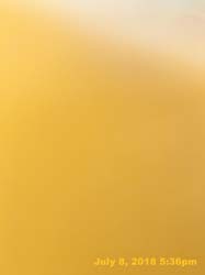 IMG_E8617