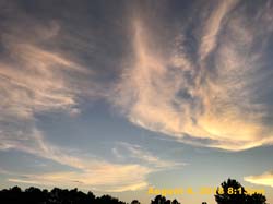 IMG_9856
