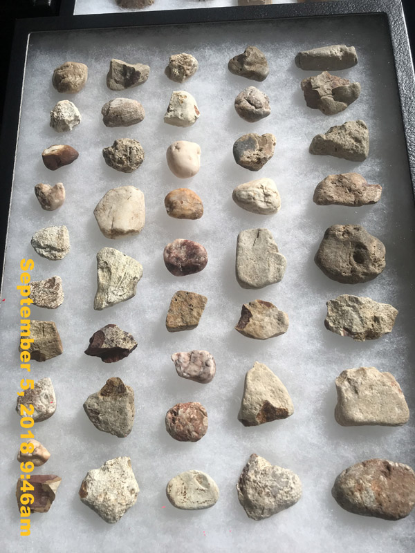 IMG_1553