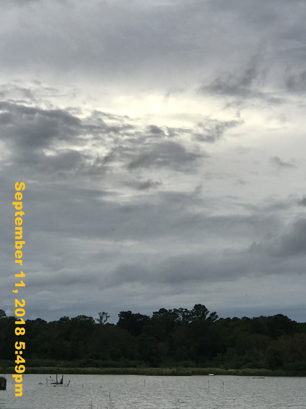 IMG_1810