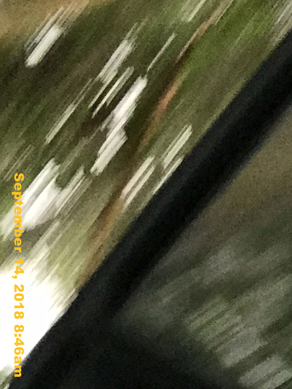 IMG_1935
