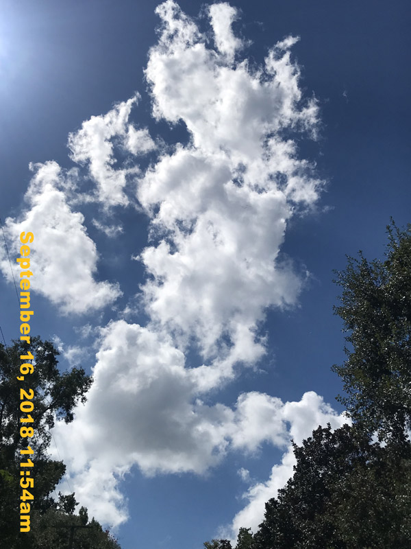 IMG_2053